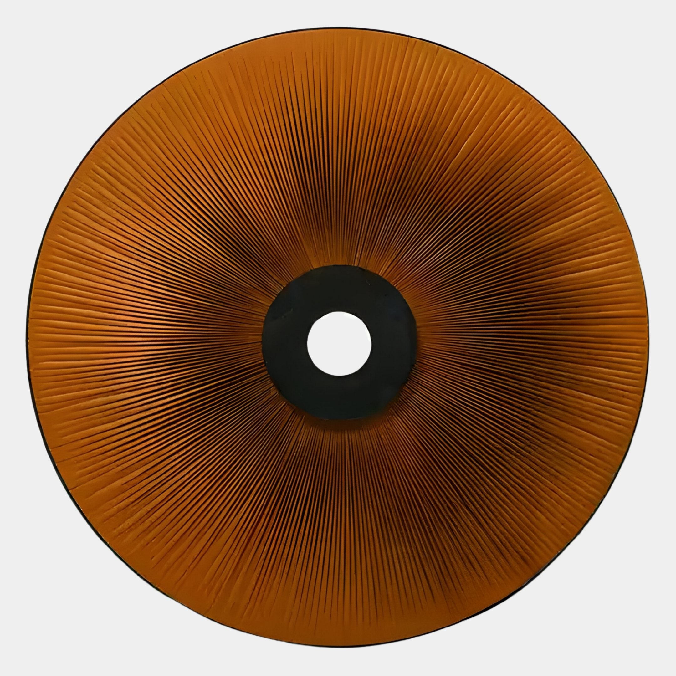 A top-down view of the Vanguard Saffron Ember Leather 3D LED Wall Art by Giant Sculptures—circular, orange with radiating dark lines and a black center, resembling mushroom gills or unique saffron leather art on white.
