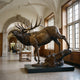 Life-Size Bull Elk Striding Bronze Sculpture by Giant Sculptures, 280cm, shown bugling on a rocky base in a vaulted museum-style hall with wood-paneled windows.