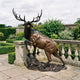 Life-Size Contemporary Bugling Elk Bronze Sculpture by Giant Sculptures in warm amber and dark patina, head raised mid-bugle on a rocky base beside a garden balustrade.