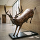 Giant Sculptures Life-Size Leaping Whitetail Buck Bronze Sculpture 260cm on a black base in a gallery, mid-leap with wide antlers and warm brown patina.
