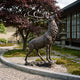 Life-Size Traditional Bugling Stag Bronze Sculpture by Giant Sculptures, head raised mid-call, displayed on gravel in a Japanese garden with maple tree and stone lantern.