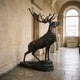 Life-Size Traditional Stag Bronze Sculpture by Giant Sculptures, dark brown patina, mid-stride with raised head and wide antlers, displayed in a stone museum corridor.