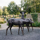 Life-Size Traditional Stag and Doe Deer Bronze Sculpture by Giant Sculptures in dark patina, shown on gravel in a sculpture garden with stone wall behind.