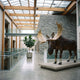 Life-Size Traditional Standing Bull Moose Bronze Sculpture by Giant Sculptures, dark brown with creamy gold antlers, displayed on a stone plinth in a skylit atrium.