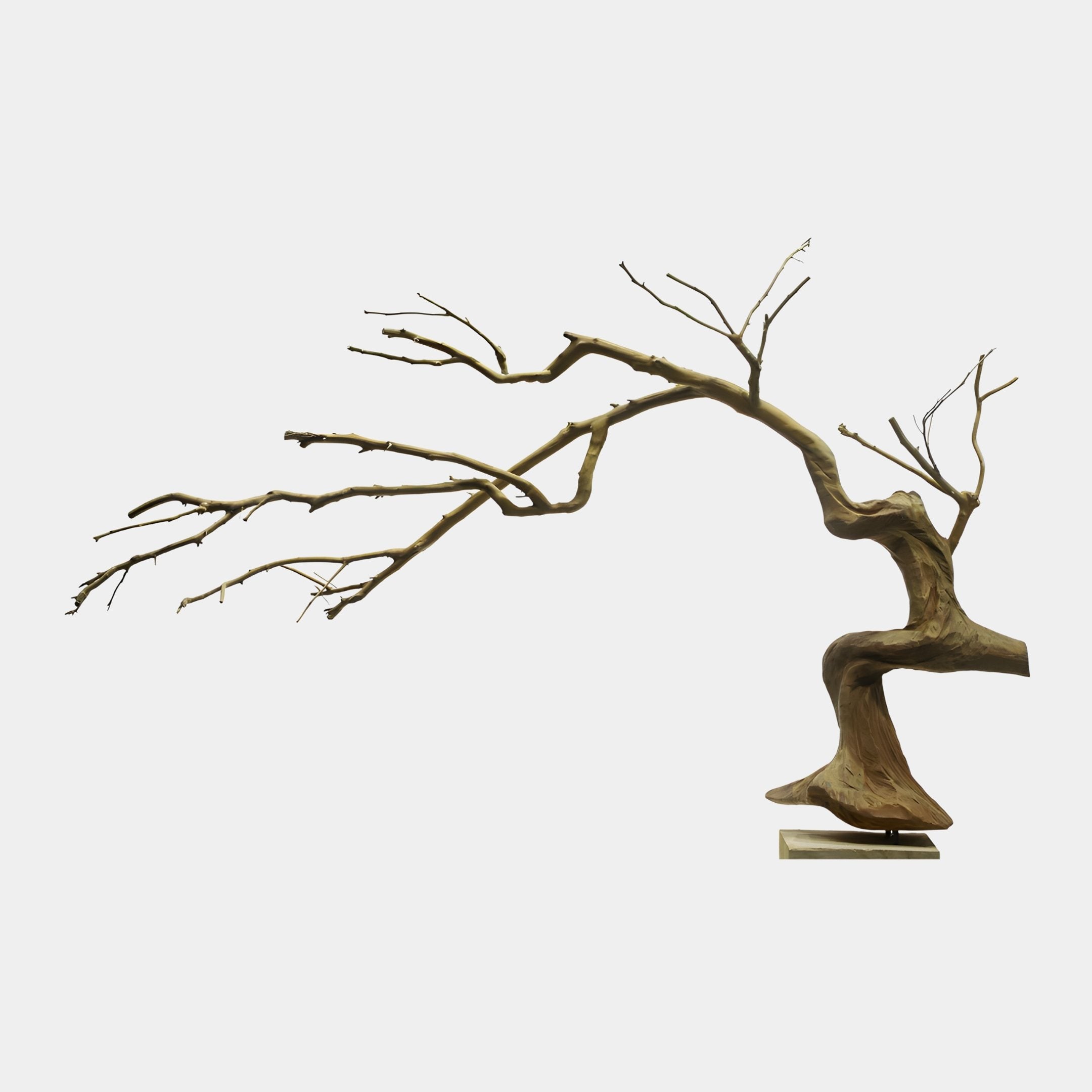 Giant Sculptures Wind Swept Natural Abstract Wood Sculpture 145cm, a blonde wood tree form with curved trunk and long bare branches sweeping left, on a plain background.