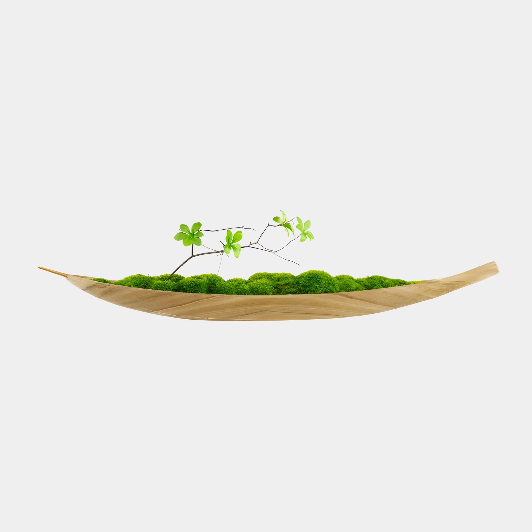Giant Sculptures Blonde Wood Boat Vessel with Moss Garden 78cm, a hand-carved canoe-form vessel filled with bright green moss and a leafy sprig, on white.
