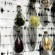 The Archivelle Multi-Specimen Glass Bottle 3D Wall Art by Giant Sculptures features cork-stoppered flasks with dried plants, mounted on a white wall with black lines for a striking botanical shadow effect.