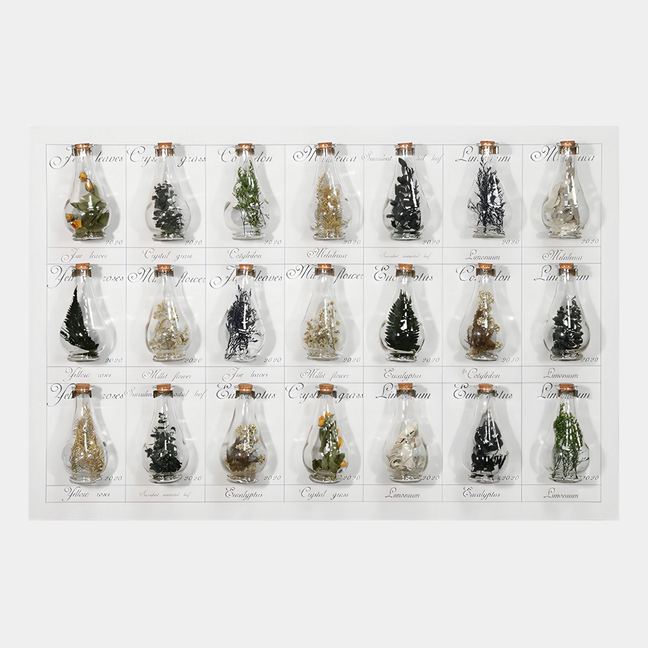 The Archivelle Botanical Catalogue Glass Bottle 3D Wall Art by Giant Sculptures features 20 small glass bottles with miniature Christmas trees, plants, and festive décor in four rows—a charming botanical wall display with elegant cursive labels.