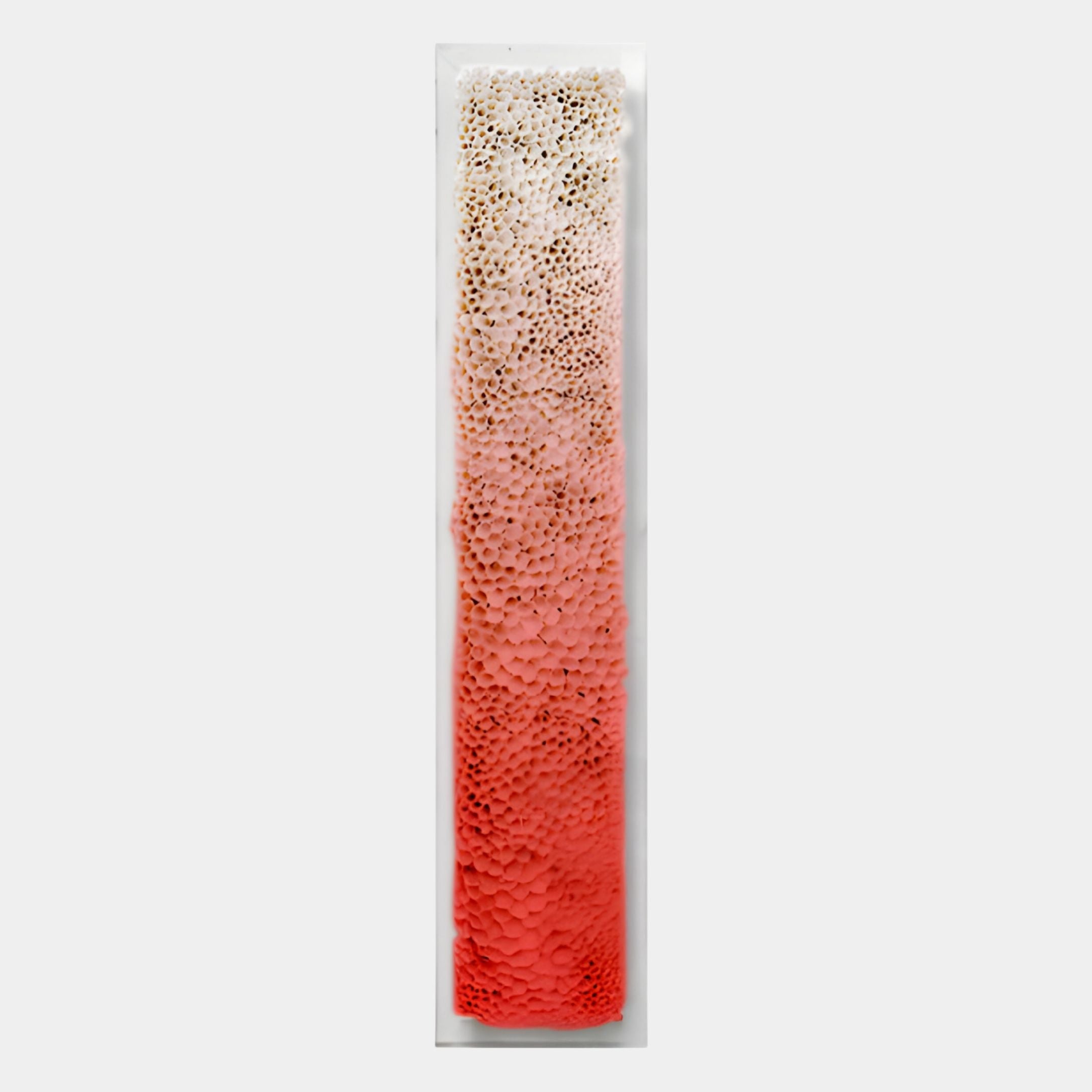 The Aeraline Coral Bloom Vertical Gradient Leather 3D Wall Art by Giant Sculptures features a tall, narrow design with textured circular shapes fading from white to deep red—ideal for bold, modern wall decor.