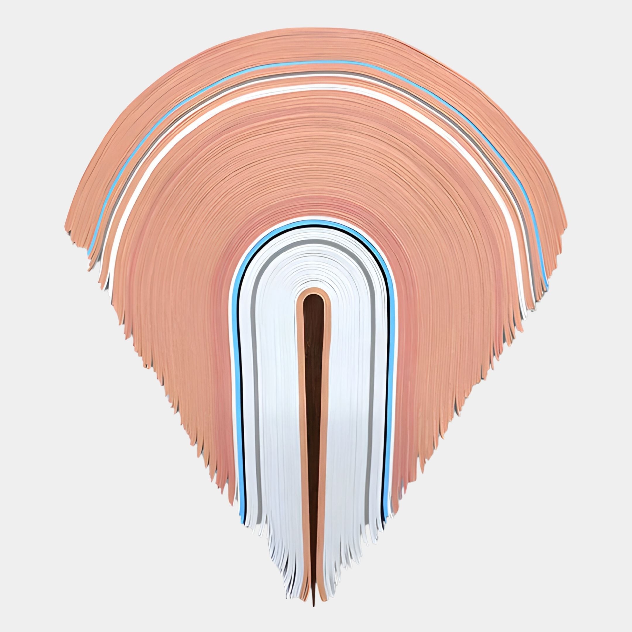 The Arclune Coral & White Arc Sculptural Felt 3D Wall Art by Giant Sculptures features layered, curved forms in peach, white, blue, and brown on light gray—evoking calm and perfect for wabi-sabi spaces.