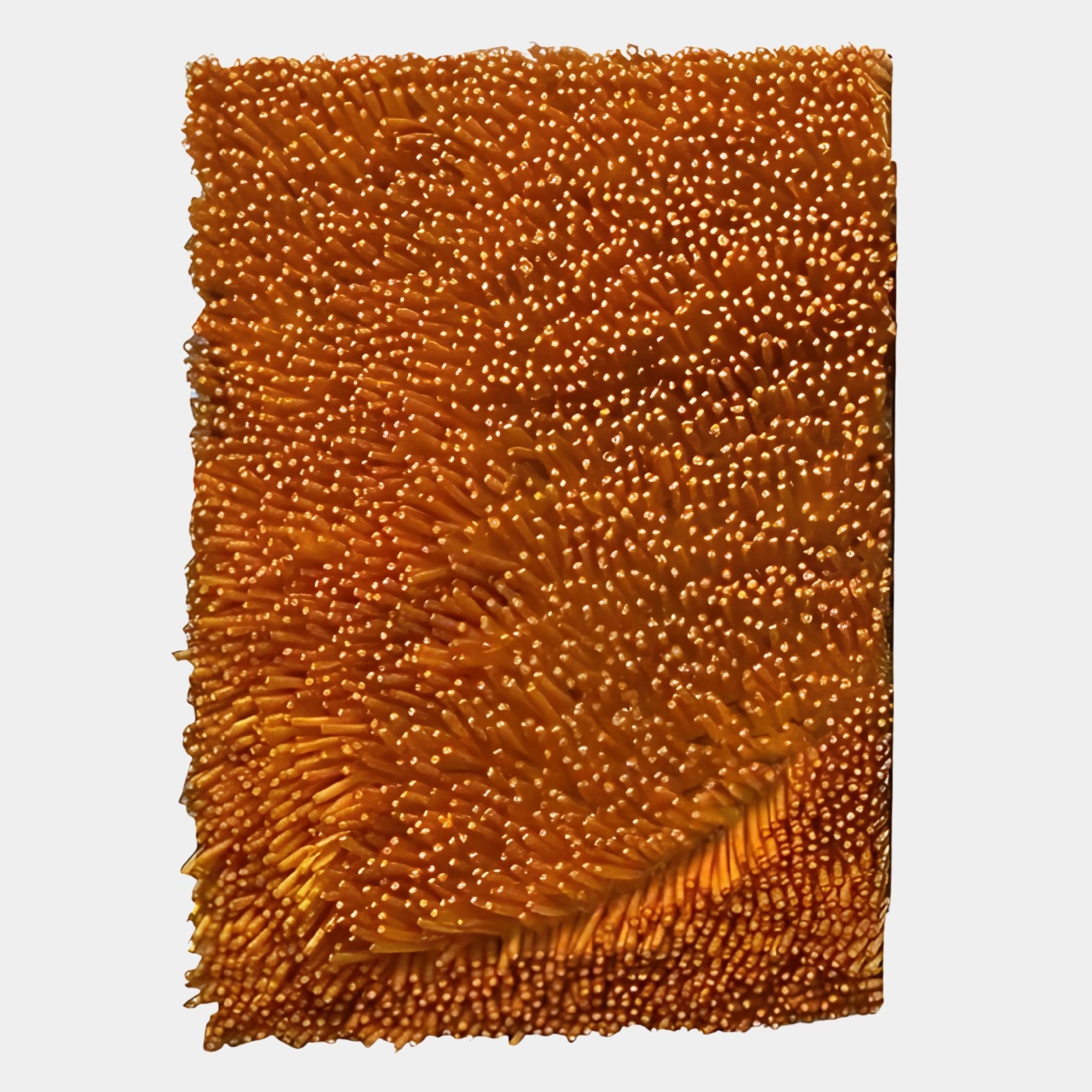 The Bristella Amber Textured Vertical Panel 3D Wall Art by Giant Sculptures features upright orange bristles forming a wave-like surface, creating a modern and striking effect against a white background.