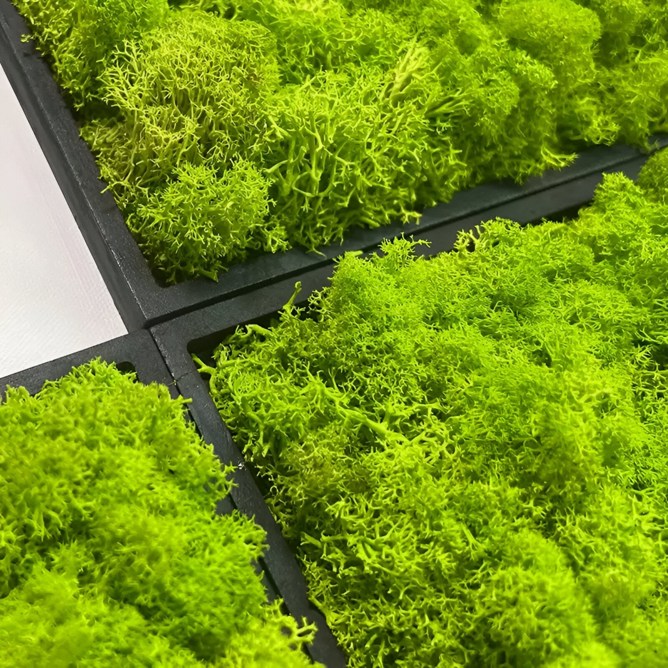 Verdura Modular Green Moss Mosaic 3D Wall Art