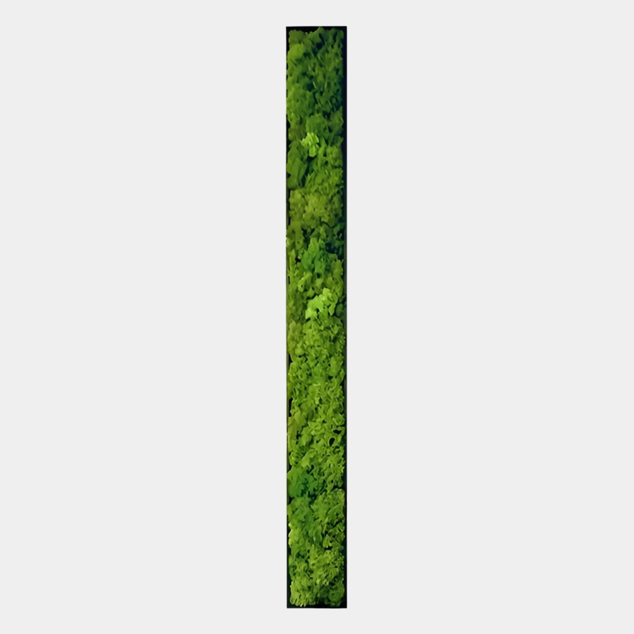 Verdura Vertical Green Moss Strip 3D Wall Art