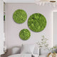 Verdura Round Green Moss Circle 3D Wall Art
