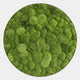 Verdura Round Green Moss Circle 3D Wall Art