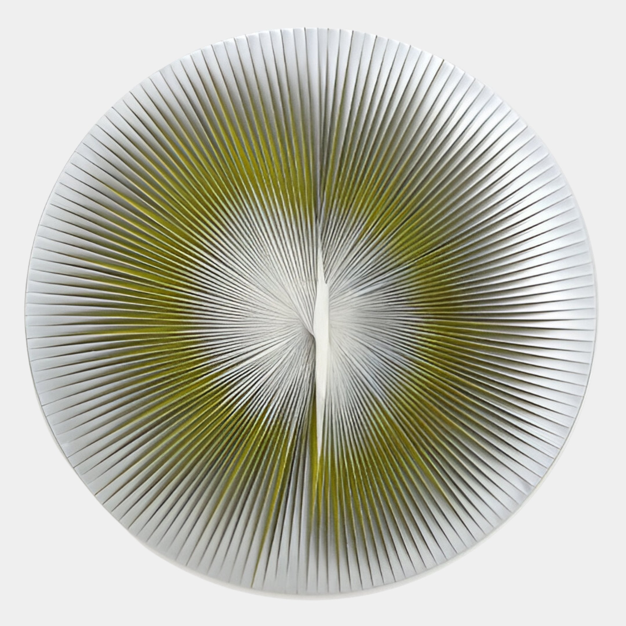Lustara Yellow Gradient Circular Leather 3D Wall Art