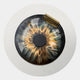 The Iriselle Amber Flare Crystal Porcelain Round 3D Wall Art by Giant Sculptures features swirling brown, gold, and gray tones with a metallic gold accent—an eye-catching choice for modern interiors.