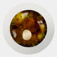 The Iriselle Amber Crystal Porcelain Round 3D Wall Art by Giant Sculptures features a lifelike artificial eye with a brown and amber iris, white sclera, and reflective highlight, capturing intricate detail in stunning wall decor.
