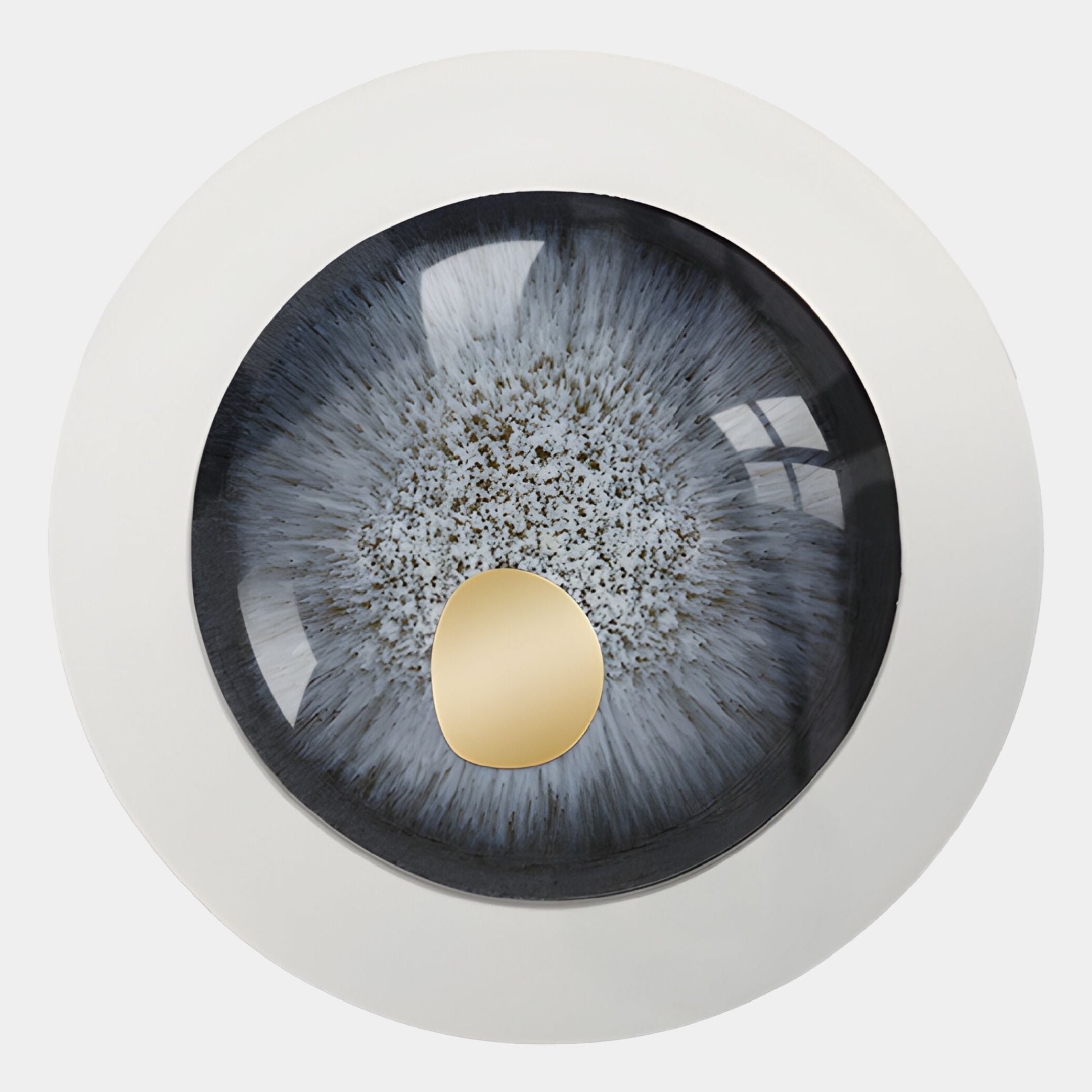The Iriselle Frost Grey Crystal Porcelain Round 3D Wall Art by Giant Sculptures features an abstract, eye-inspired design with a blue-gray iris, white speckles, and a gold accent, ideal for modern décor against a plain white background.