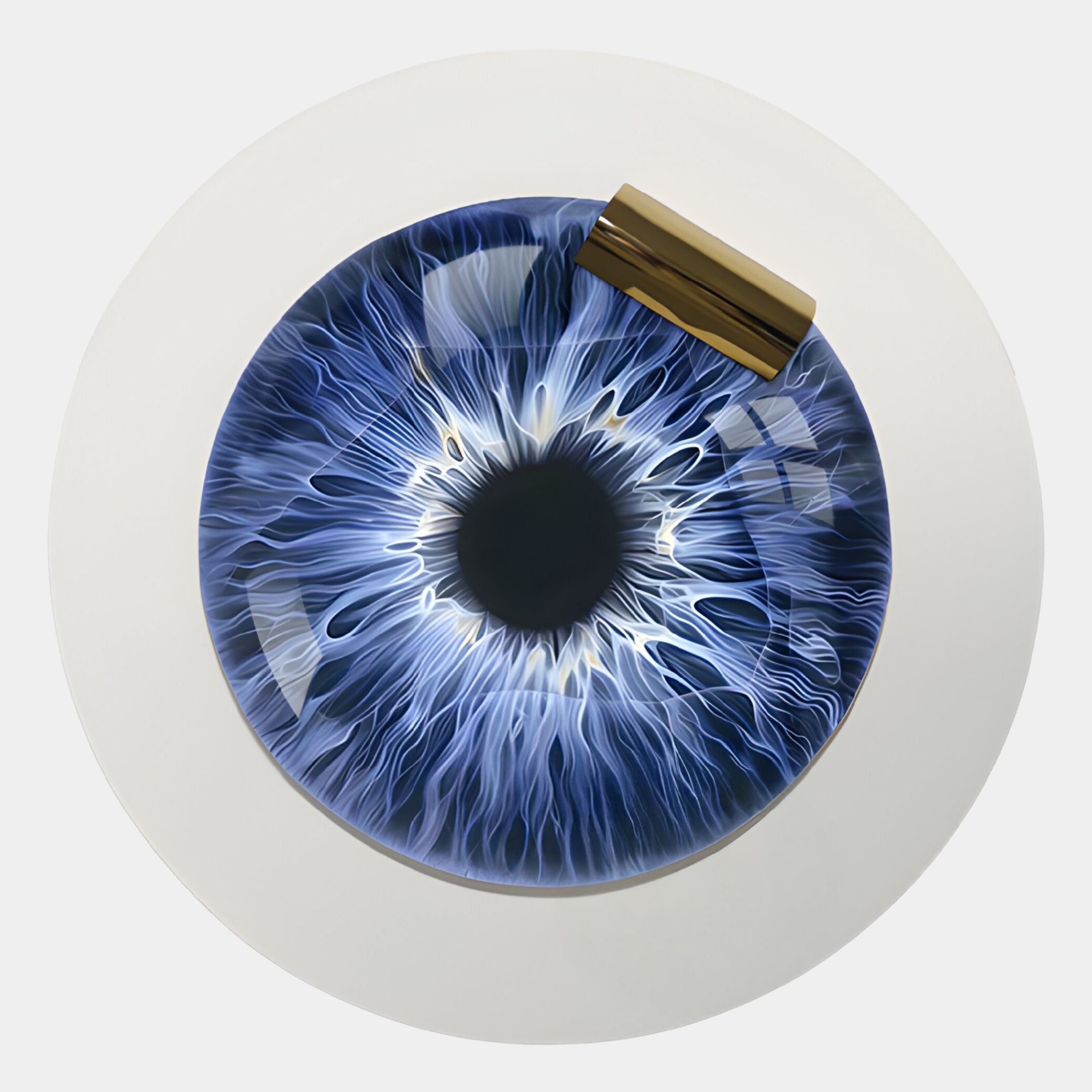 The Iriselle Sapphire Iris Crystal Porcelain Round 3D Wall Art by Giant Sculptures features a blue iris design with intricate patterns and a gold accent—an elegant modern decor piece for any space.