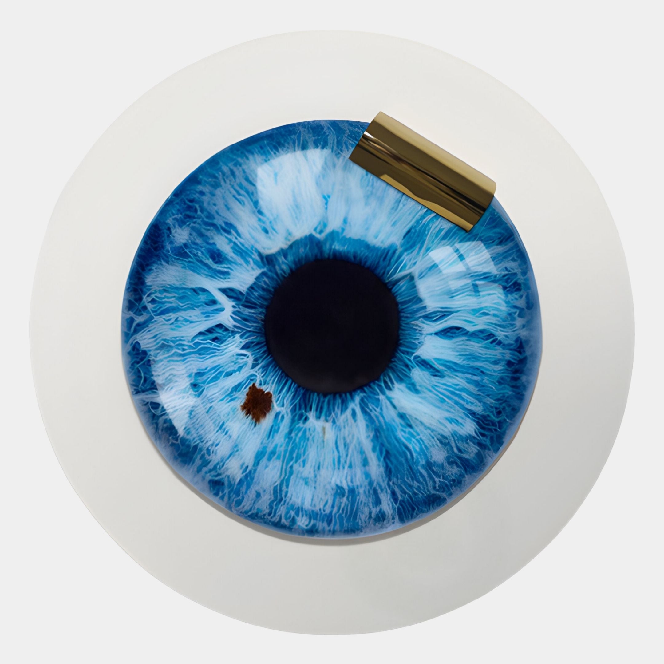 The Iriselle Arctic Blue Iris Crystal Porcelain Round 3D Wall Art by Giant Sculptures features an intricate, realistic design with a small brown eye-like spot and gold accent—perfect as unique wall décor.