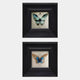 Artelis 2-Set Blue Butterfly Framed Wall Art