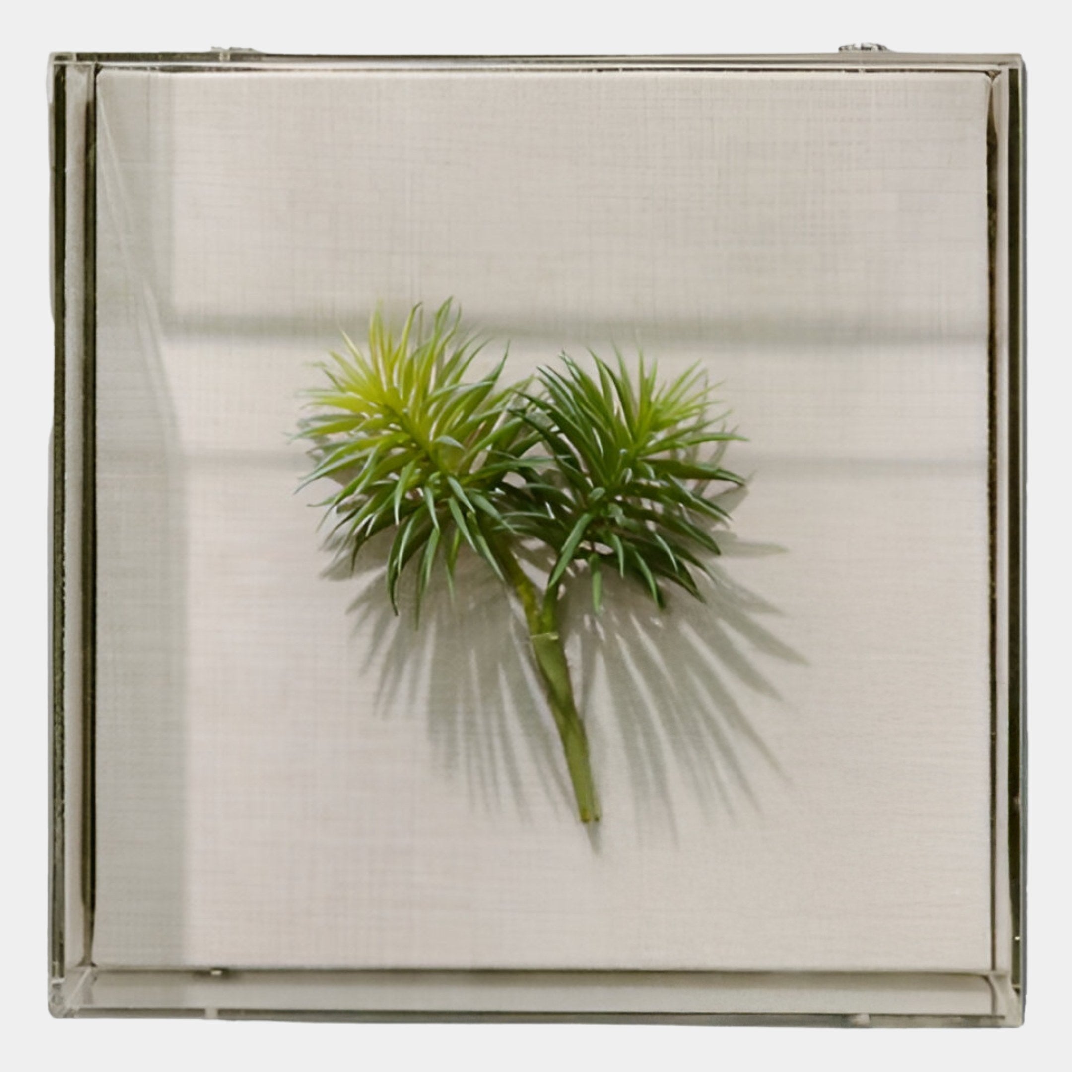 The Florvara Pine Needle Botanical Acrylic 3D Wall Art by Giant Sculptures features spiky green artificial foliage in a clear square case, creating striking shadows for a modern accent.