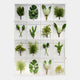 The Florvara Botanical 16-Leaves Acrylic 3D Wall Art by Giant Sculptures showcases 16 clear boxes with unique artificial plant designs, arranged in a sleek 4x4 grid—ideal modern wall decor or botanical art accent.