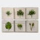 The Giant Sculptures Florvara Botanical Leaves 6-Panel Acrylic 3D Wall Art features six panels with assorted preserved or faux leaves, forming a striking display—an ideal modern accent for Nordic-styled interiors.