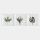The Florvara Botanical Leaves 3-Panel Clear Acrylic 3D Wall Art by Giant Sculptures features unique green foliage designs on white, creating striking modern décor for any minimalist space.