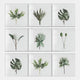 The Florvara Botanical Leaves 9-Panel Clear Acrylic 3D Wall Art by Giant Sculptures features nine white square frames, each showcasing a unique green plant, forming a 3x3 minimalist grid—ideal for botanical decor lovers.