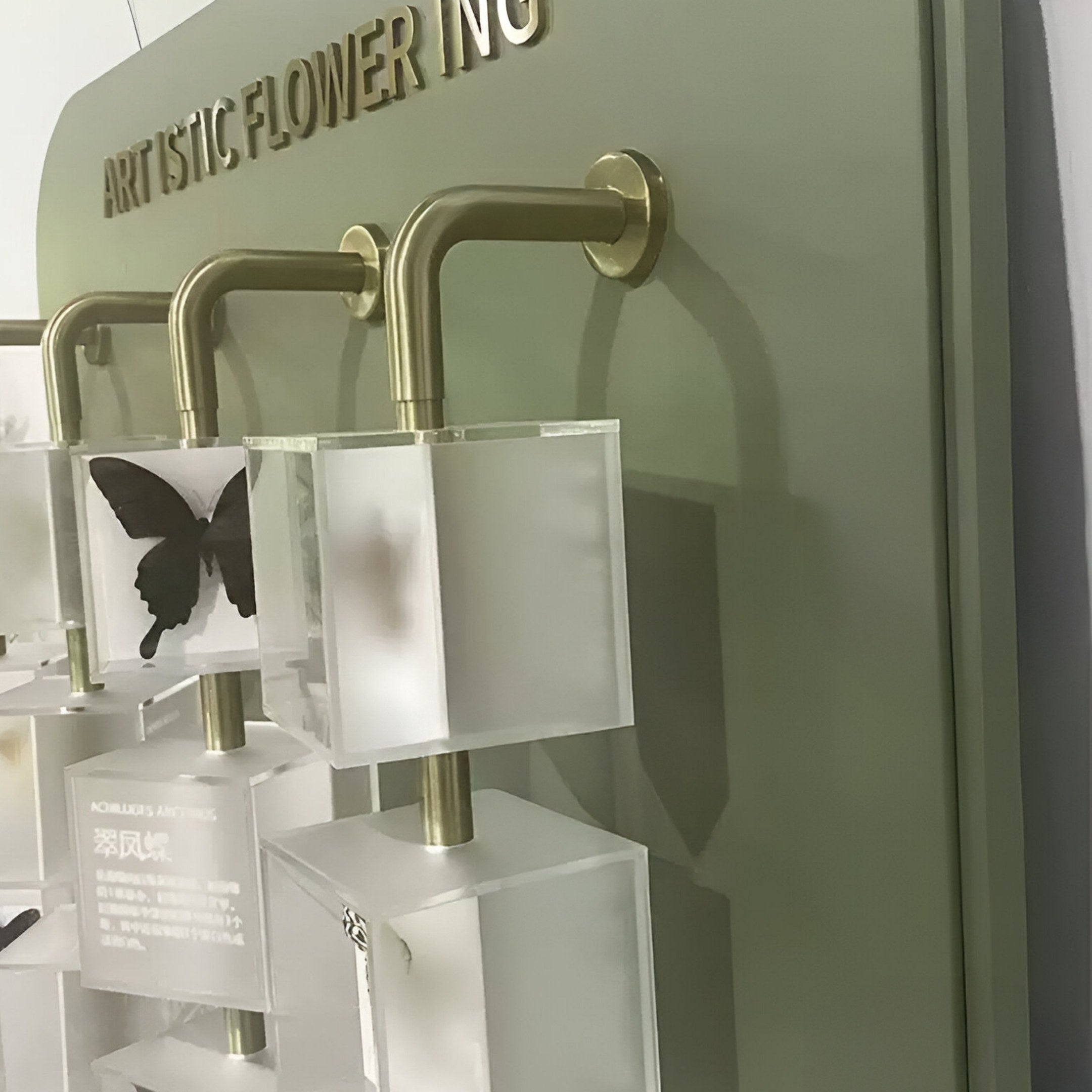 The Aurelian Butterfly Display Acrylic 3D Wall Art by Giant Sculptures features transparent boxes—one with a black butterfly and others frosted—mounted on brass rods, set against a muted green panel for a museum-inspired decor piece.