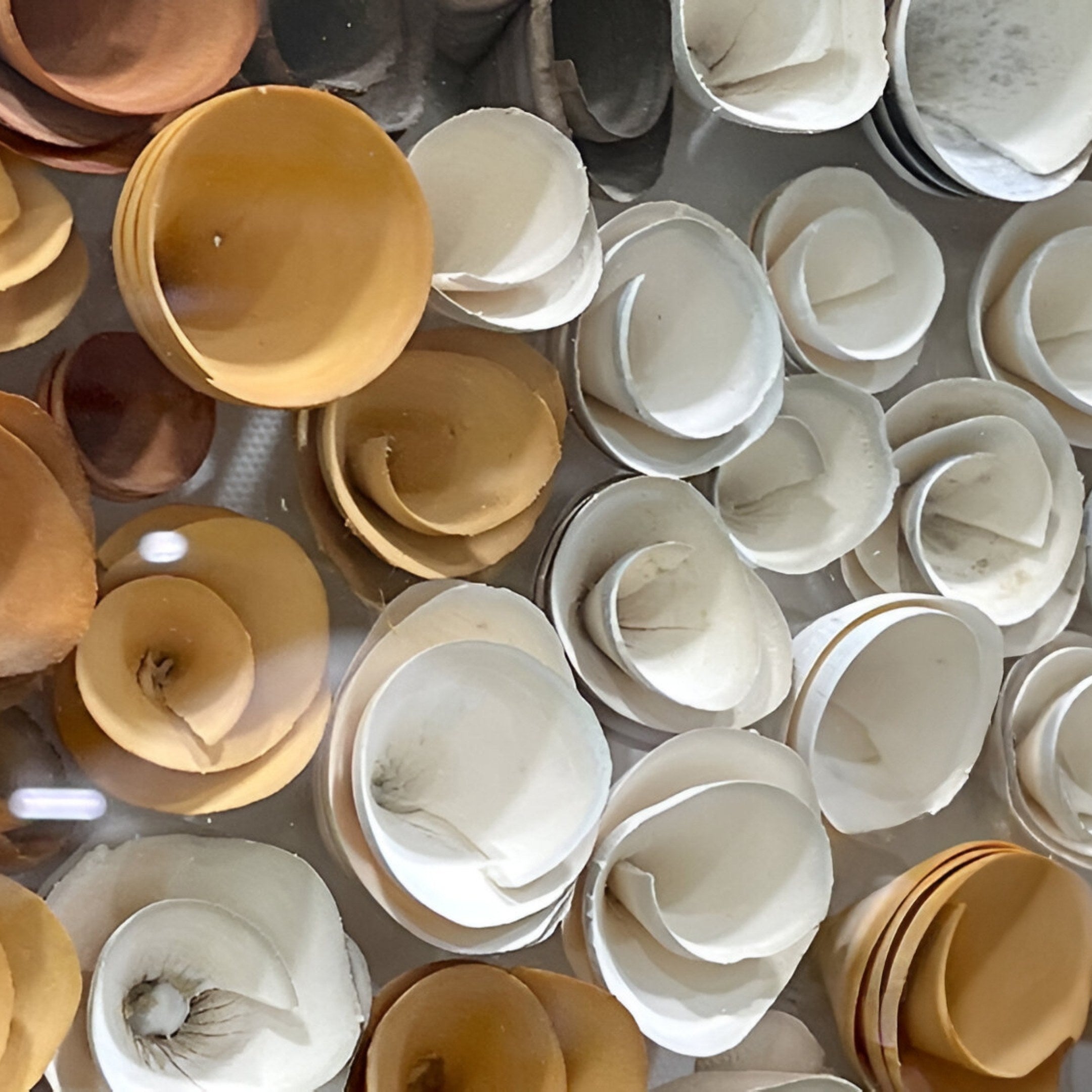 A close-up shows the Volaris Ochre & Ivory Rolled Floral Framed 3D Wall Art by Giant Sculptures, featuring dense, overlapping tan and white petal-like forms for a striking dimensional effect on a reflective surface.