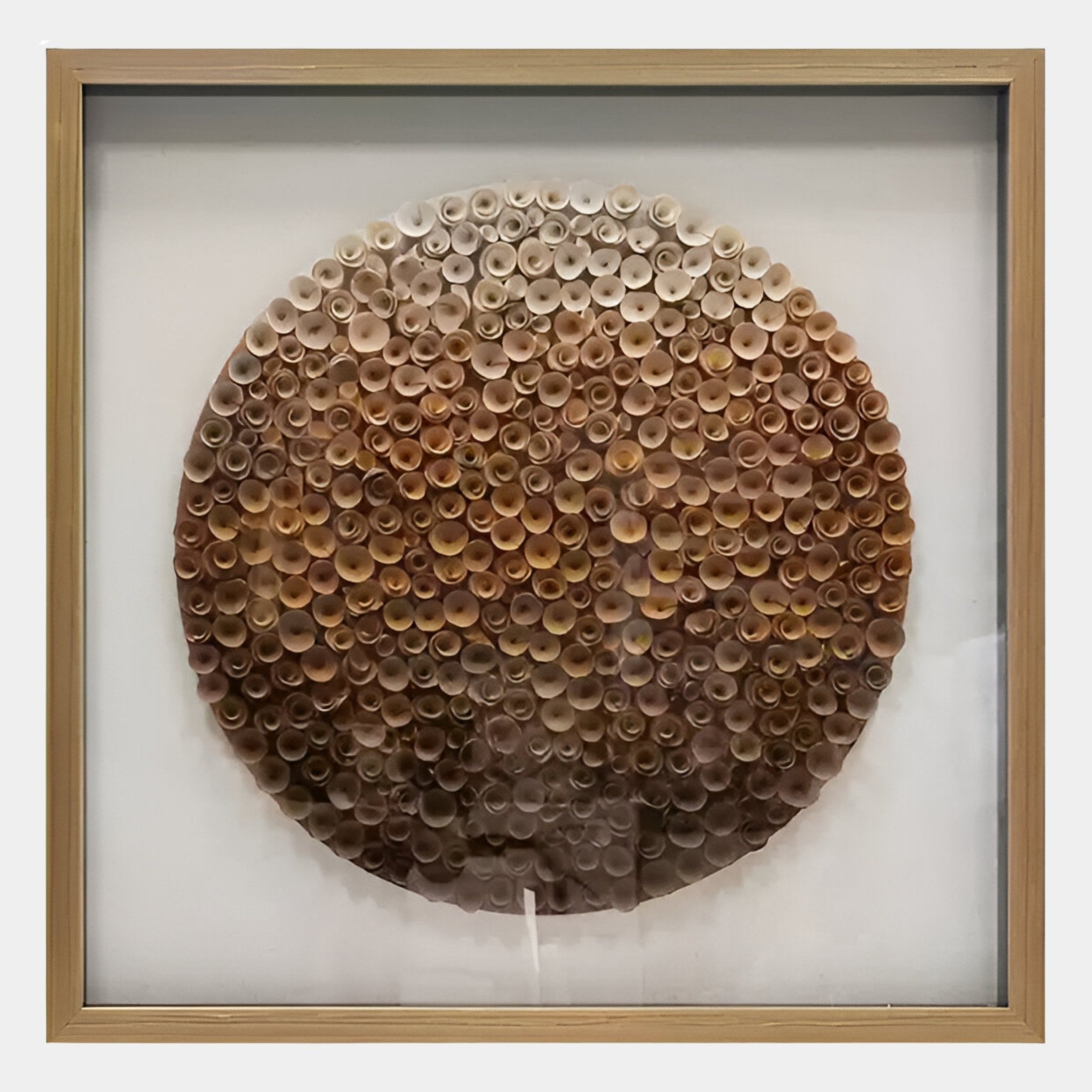 The Aureliare Bronze Fade Rolled Floral Framed 3D Wall Art by Giant Sculptures features a large circle of tightly rolled paper tubes in bronze hues on a white background, set in a light wood frame for modern, sculptural depth.