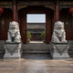 The pair of guardian lions on dark-capped plinths flanking a temple gateway