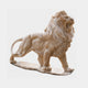 Beige marble lion roaring with head turned and tail looped high above the haunch