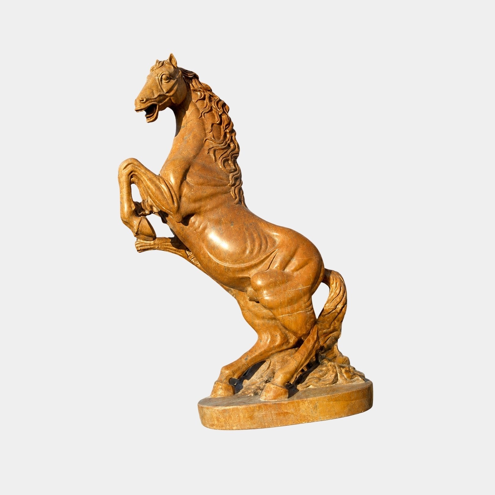 Honey-brown marble horse rearing with both forelegs raised and mouth open