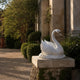 White marble resting swan shown beside a weathered classical building