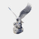 Grey marble eagle alighting on a rock with both wings raised and spread
