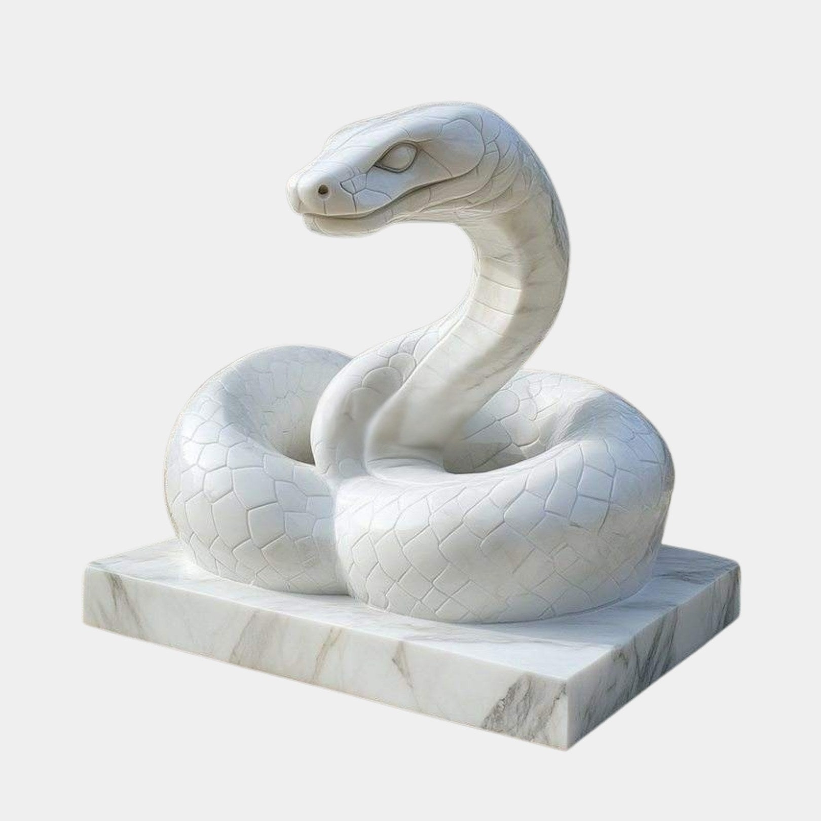 White marble snake resting coiled with its head and neck raised in an S-curve