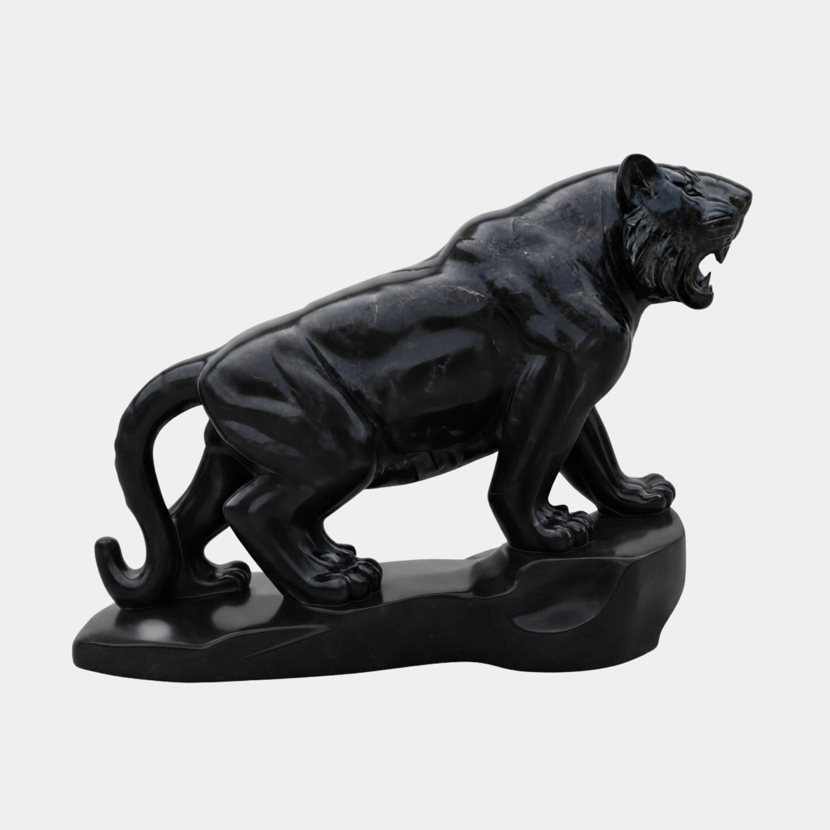 Black marble tiger prowling with jaws open and ribs showing through the hide