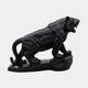 Black marble tiger prowling with jaws open and ribs showing through the hide