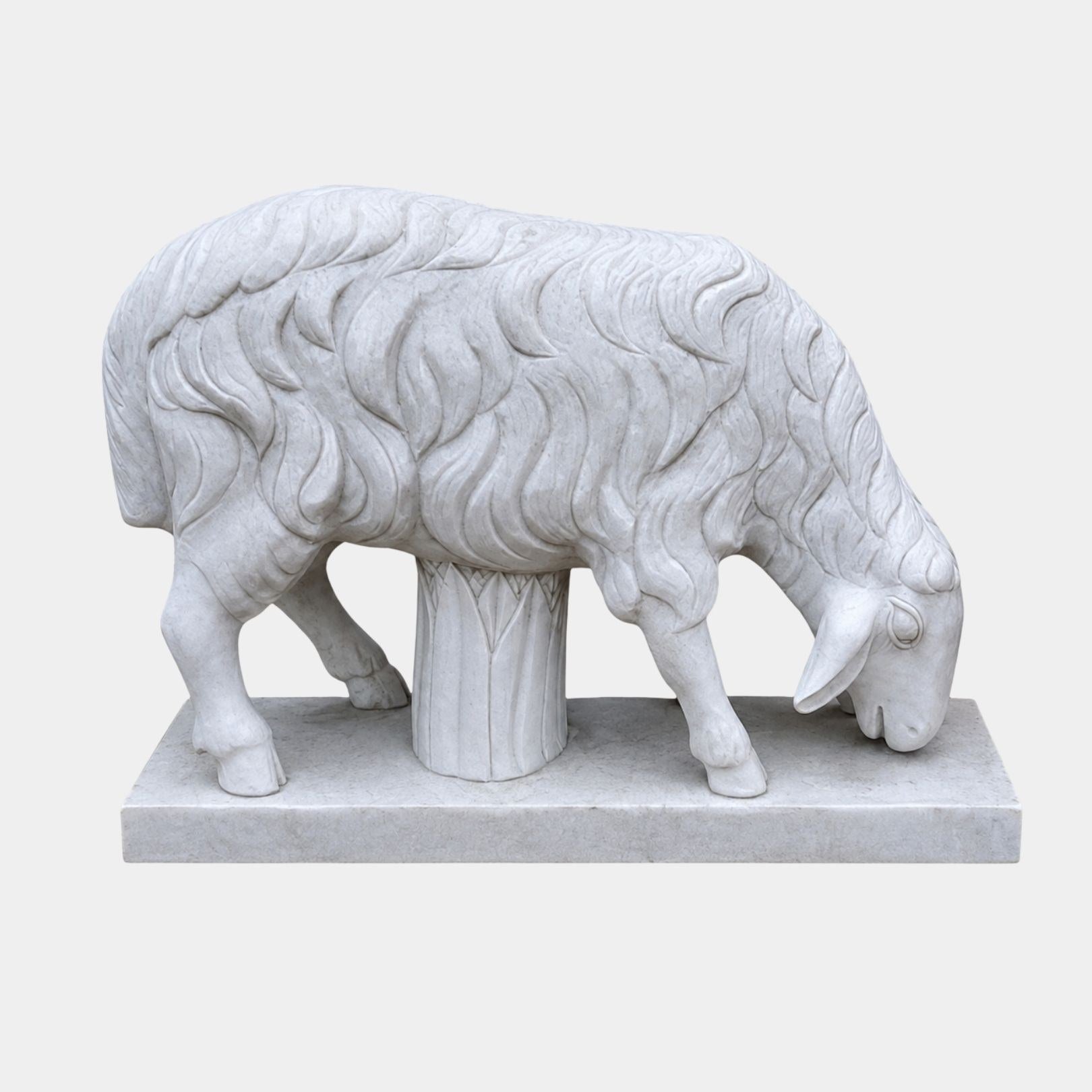 White marble sheep grazing with its fleece cut in deep separated locks