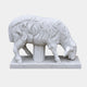 White marble sheep grazing with its fleece cut in deep separated locks