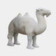 Grey marble Bactrian camel standing four-square with both humps proud