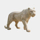 Apricot-beige marble leopard walking with rosette spots over its coat
