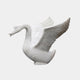 White marble swan rising with wings lifted and its bill open