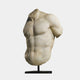 Male Marble Torso Sculpture 100cm by Giant Sculptures, a weathered white marble fragment showing chest and abdominal musculature, on a black stand against white.