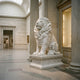 White marble Seated Lion on a Leaf-Moulded Pedestal statue, 200cm, displayed on a museum gallery floor beside classical columns.