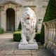 Roaring Lion With a Standing Mane Marble Statue - 170cm on a rectangular base, white marble finish, displayed on a stone courtyard beside a balustrade.